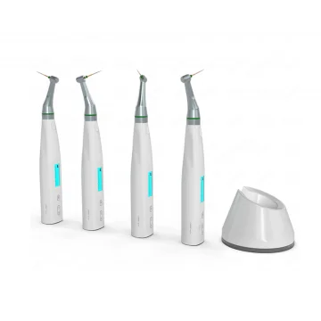 Эндомоторы COXO