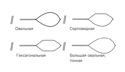 Петли Captivator